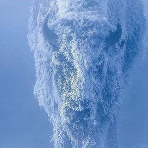 Meet your Posher, Brett